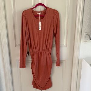 Sundry size 3 puff Long Sleeve Dress in brick